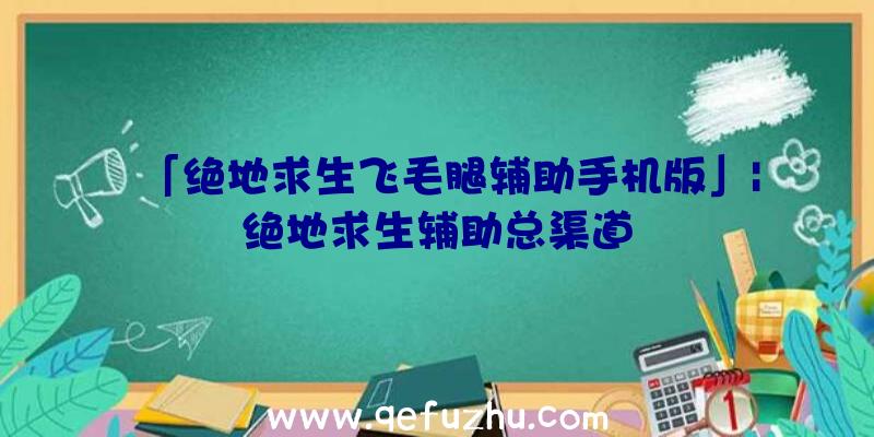 「绝地求生飞毛腿辅助手机版」|绝地求生辅助总渠道